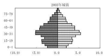 PopulationPyramidChina1.jpg