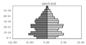 PopulationPyramidChina2.jpg